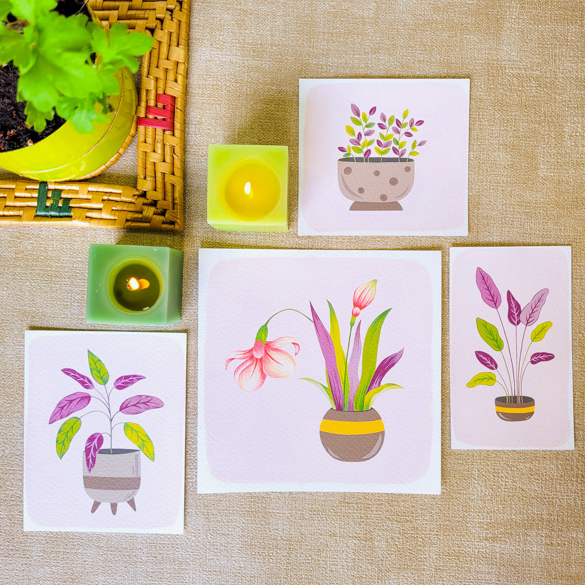 Notebook | Plant Paradise